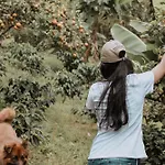 Finca El Moral