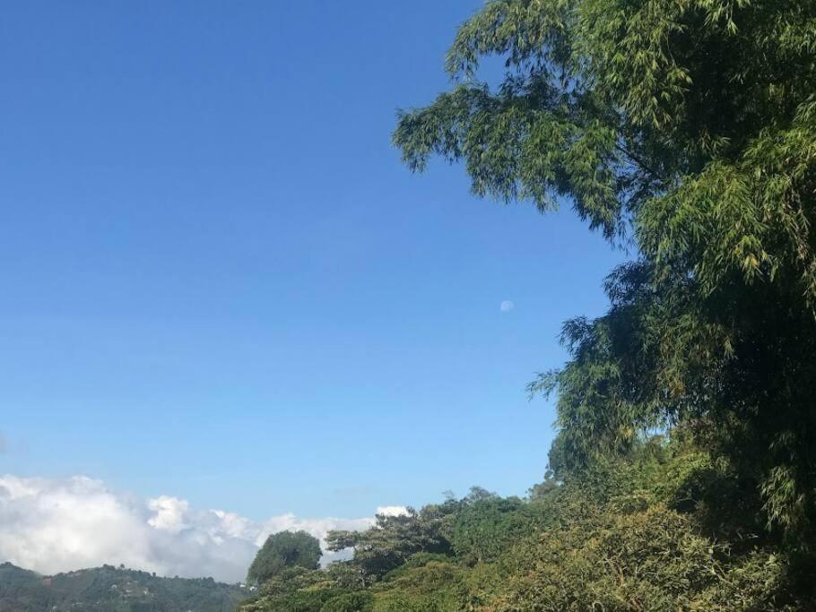 Casa rural El Moral Medellín
